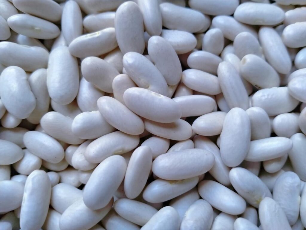 White Beans